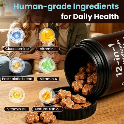12-in-1 Daily Multivitamin for Dogs - with Folic Acid, Salmon Oil, Chondroitin & Natural Vitamins, Skin and Coat Healthy, Digestive & Boost Immunity, 60 Chew (Beef)