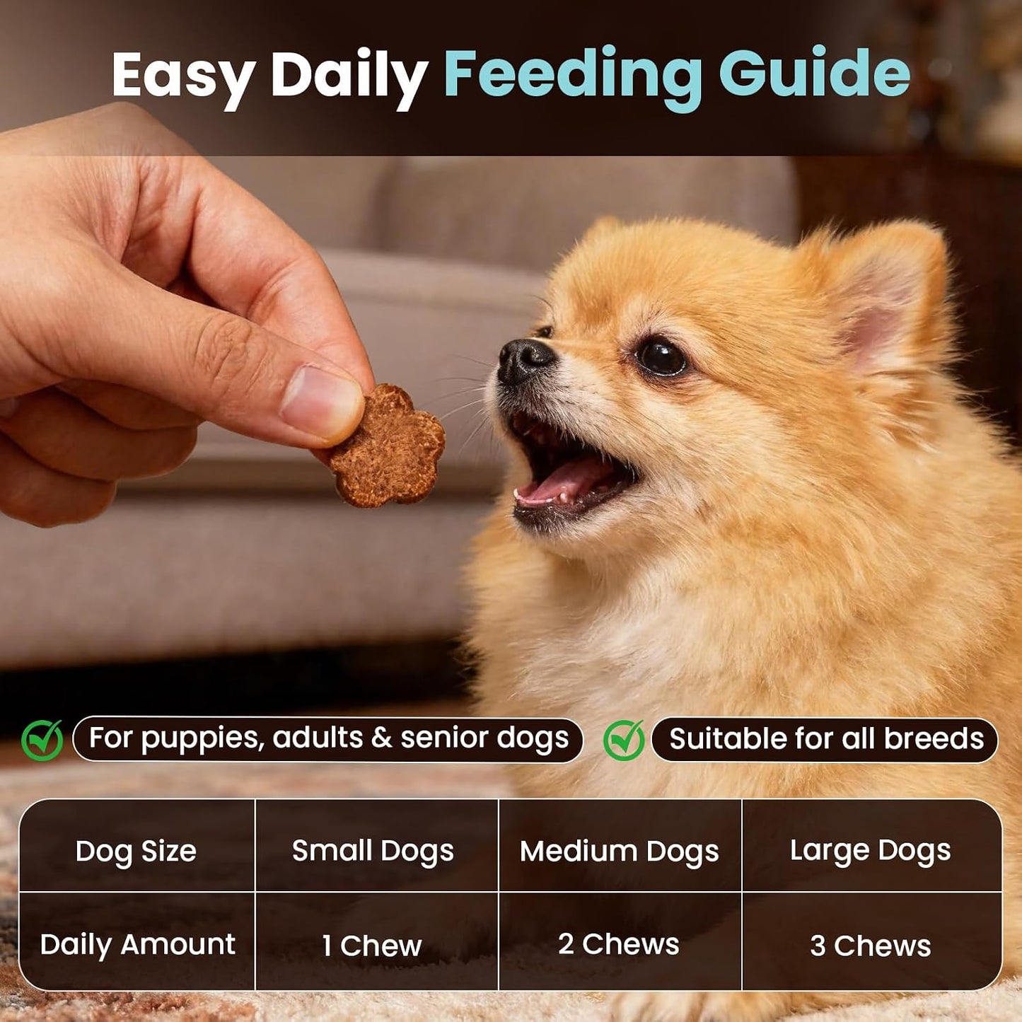 12-in-1 Daily Multivitamin for Dogs - with Folic Acid, Salmon Oil, Chondroitin & Natural Vitamins, Skin and Coat Healthy, Digestive & Boost Immunity, 60 Chew (Beef)