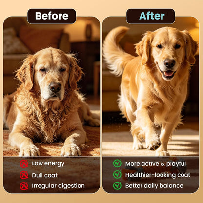 12-in-1 Daily Multivitamin for Dogs - with Folic Acid, Salmon Oil, Chondroitin & Natural Vitamins, Skin and Coat Healthy, Digestive & Boost Immunity, 60 Chew (Beef)